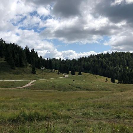 Appartamento Cologna Castelfondo Dış mekan fotoğraf