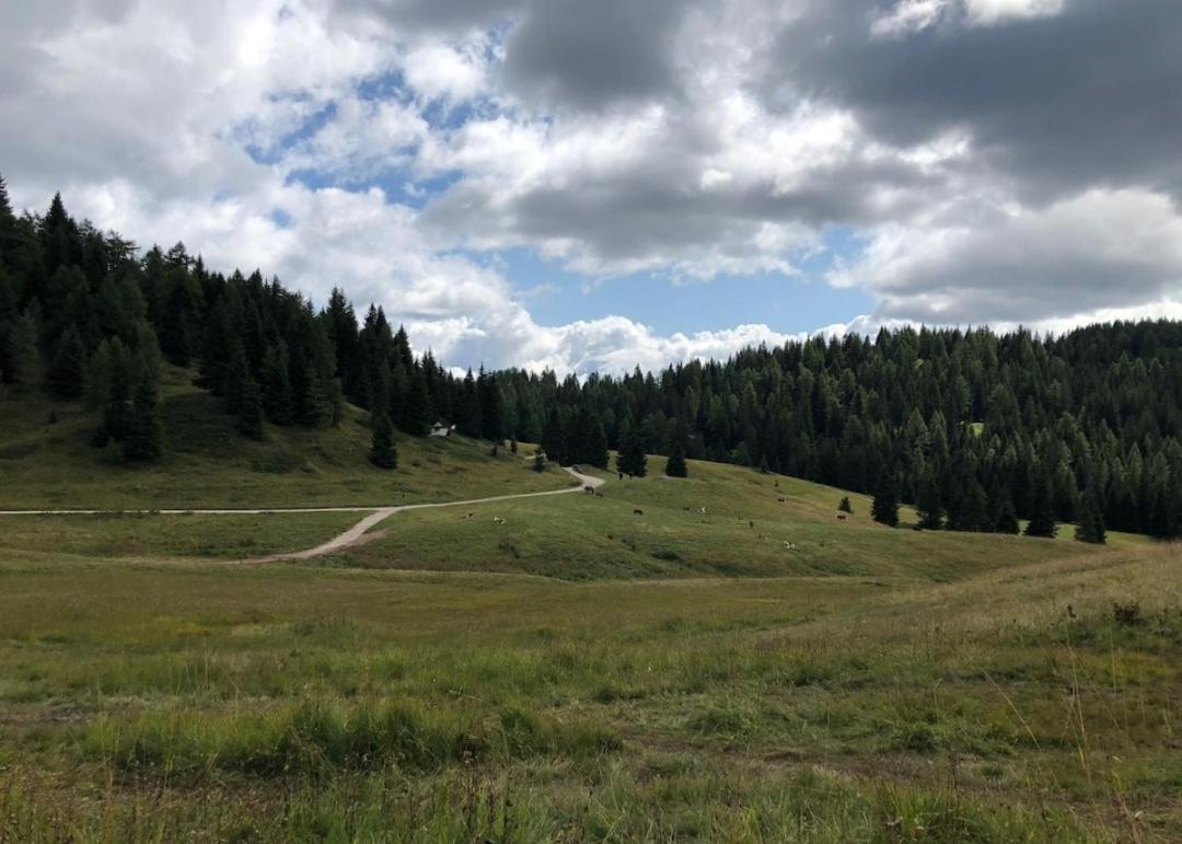 Appartamento Cologna Castelfondo Dış mekan fotoğraf