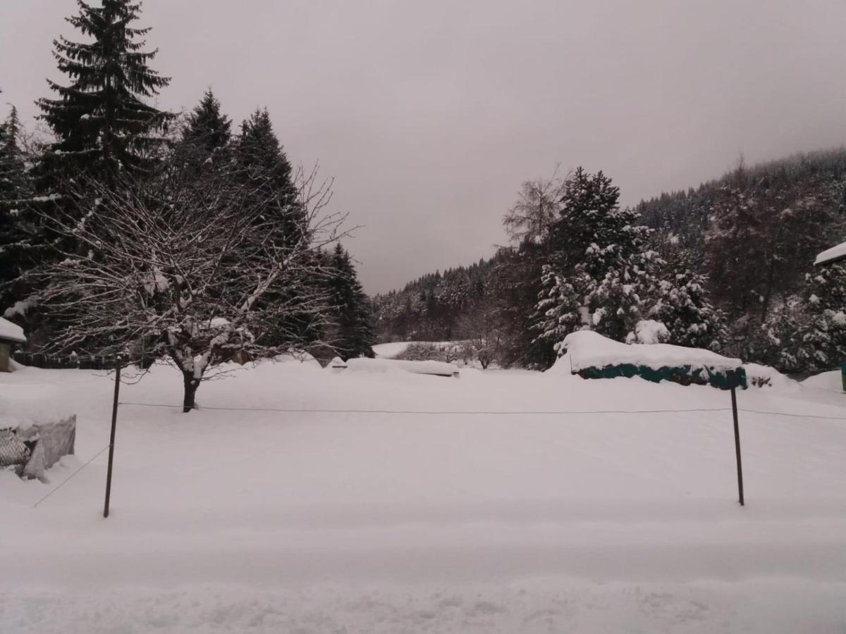 Appartamento Cologna Castelfondo Dış mekan fotoğraf